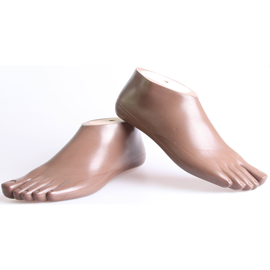 /storage/photos/1/Products/SACH Solid Foot with Separate Big Toe.png
